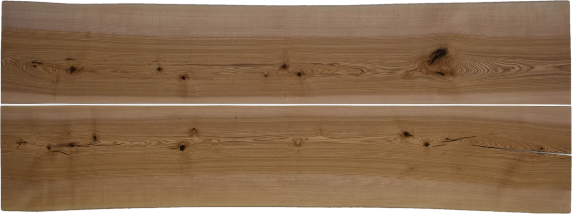 Elegante no. 0009, ash, 280 cm, from above